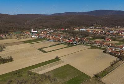 Teren de 2970 mp, în Odvoș - 12