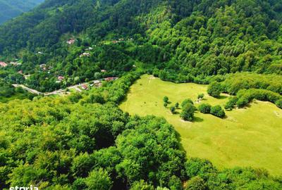 Teren de 7500 mp, în Cașoca