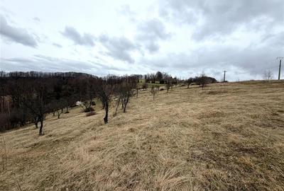 Teren agricol extravilan de 34000 mp, în Șerani - 6