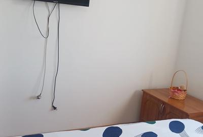 Apartament cu 2 camere semidecomandat, mobilat în Dacia - 15