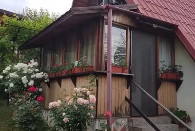 Casă cu 3 camere cu Teren 557 Mp în Chirlești