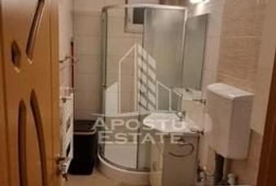 Apartament cu 2 camere semidecomandat, mobilat în Girocului - 9