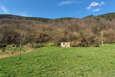 Teren Construcții intravilan de 6100 mp, în Bulz