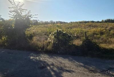 Teren de 13500 mp, în Valea Călugărească