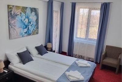 Apartament cu 2 camere semidecomandat în Băile Felix - 1
