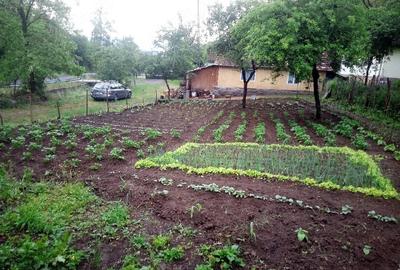 Casă cu 2 camere cu Teren 2763 Mp în Hălmagiu