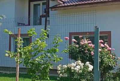 Casă cu Teren 500 Mp în Cornetu - 8