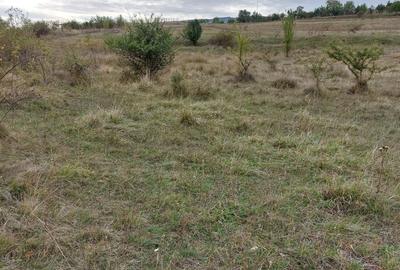 Teren Construcții intravilan de 350 mp, în Borhanci - 1