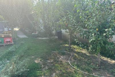 Casă individuală cu 4 camere cu Canalizare în Ultracentral - 7