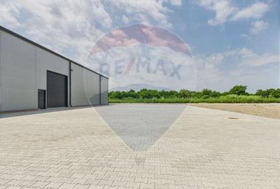 Spațiu industrial, de 600 mp, în Traian - 21