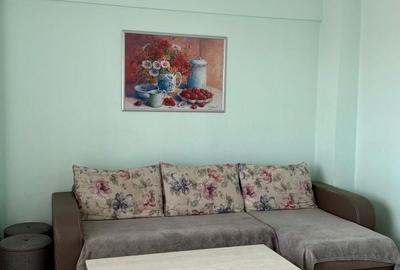 Apartament cu 2 camere decomandat în Banat - 2