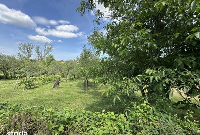 Teren de 1450 mp, în Viile Satu Mare - 2