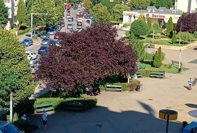 Garsonieră în Tudor - 7