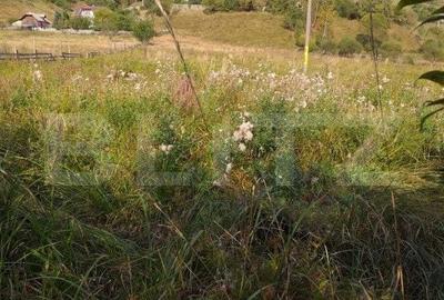 Teren de 7500 mp, în Central