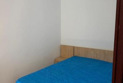 Apartament cu 3 camere în Craiovița Nouă - 4