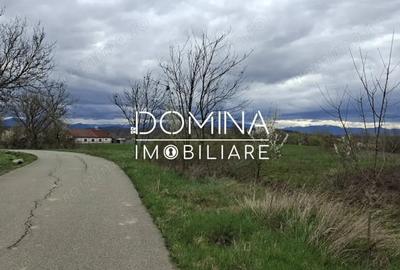 Teren de 20386 mp, în Câlnic - 1