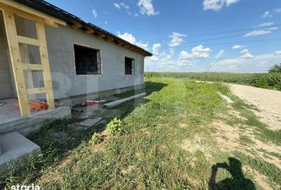 Casă cu 4 camere cu Teren 402 Mp în Ișalnița - 6