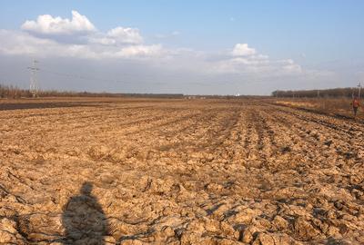 Teren agricol extravilan de 15300 mp, în Băneasa