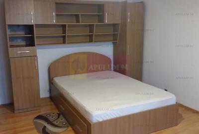 Garsonieră decomandată, mobilată în Dristor - 3