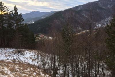 Teren de 4420 mp, în Vinețisu - 8