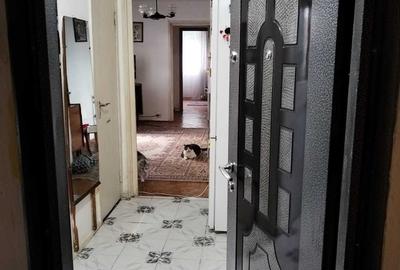 Apartament cu 2 camere semidecomandat în Valea Rosie - 2