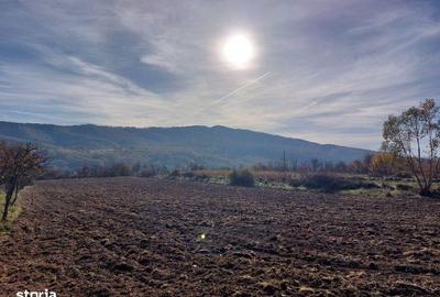 Teren de 4316 mp, în Fârdea - 2