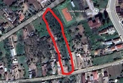 Casă cu 3 camere cu Teren 2000 Mp în Drănic