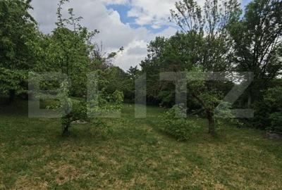 Teren de 14000 mp, în Mihai Viteazu - 11
