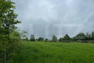 Teren de 4900 mp, în Mirșid