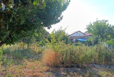 Casă cu 4 camere în Exterior Vest