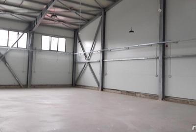 Spațiu comercial, de 550 mp, în Chitila - 4