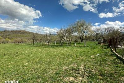 Teren de 4000 mp, în Central - 5