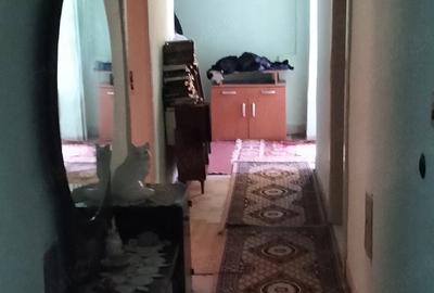 Casă cu 4 camere cu Teren 1507 Mp în Dudeștii Vechi - 2