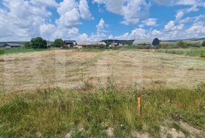 Teren de 3600 mp, în Jucu