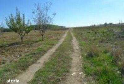 Teren de 613 mp, în Brânceni - 8