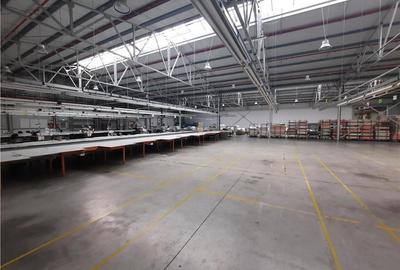 Spațiu industrial, de 6,500 mp, în Periferie - 12
