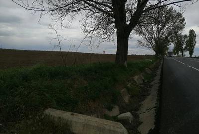 Teren de 24500 mp, în Bogdan Vodă