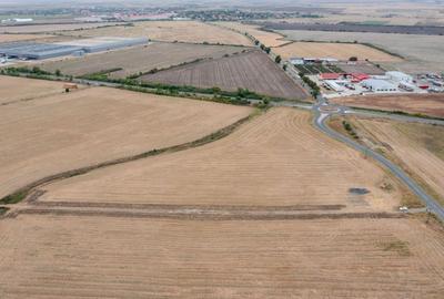 Teren agricol extravilan de 31383 mp, în Dudeștii Noi - 15