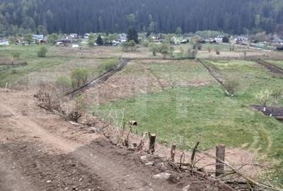 Teren de 7500 mp, în Central