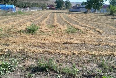 Teren de 3000 mp, în Hădăreni - 3
