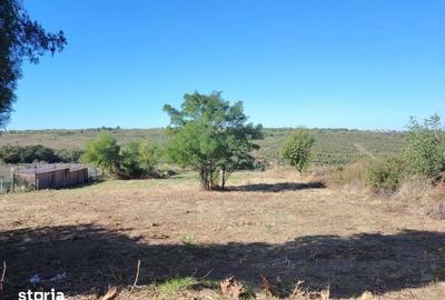 Teren de 1110 mp, în Bârnova - 4