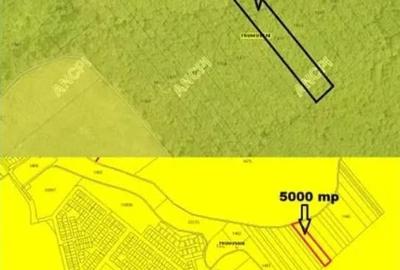Teren de 5000 mp, în Frumușani - 6