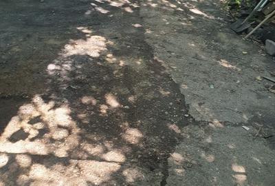 Casă cu 4 camere în Obor