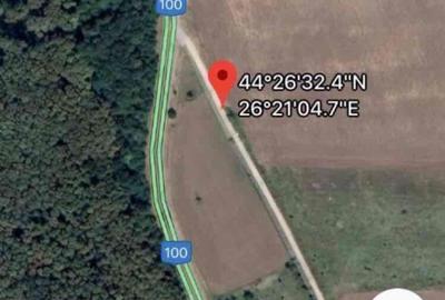Teren de 5000 mp, în Brănești - 4
