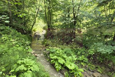 Casă individuală cu 7 camere cu Canalizare în Valea Doftanei - 46