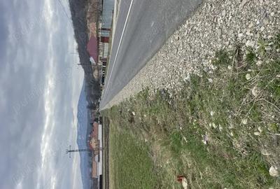 Teren de 3145 mp, în Mănăstirea Cașin - 8