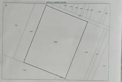 Teren de 4800 mp, în Bucerdea Grânoasă - 1