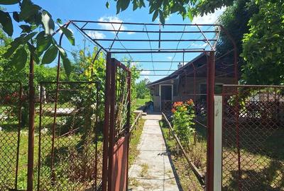 Casă cu 2 camere cu Teren 2400 Mp în Fundata - 10