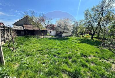 Casă cu 7 camere cu Teren 626 Mp în Pârneava - 4