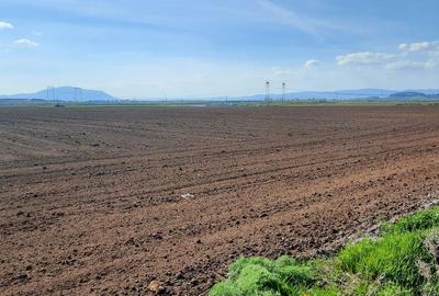 Teren de 52800 mp, în Tărlungeni - 1
